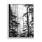 Stupell Industries Forest Light Shining Through Tall Trees Landscape Photography Framed Wall Art